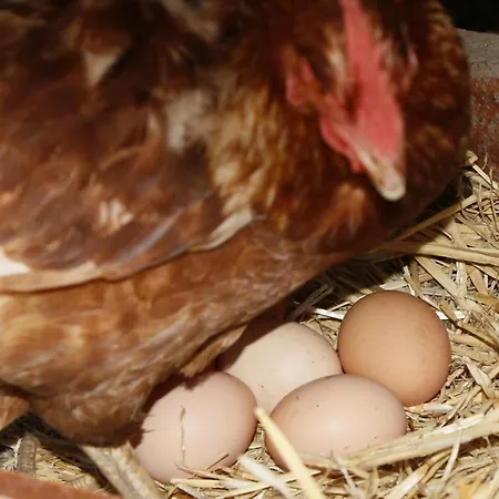 La Casa De Consuelo 3 Hétvégi ház