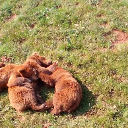 La Casa De Consuelo 3