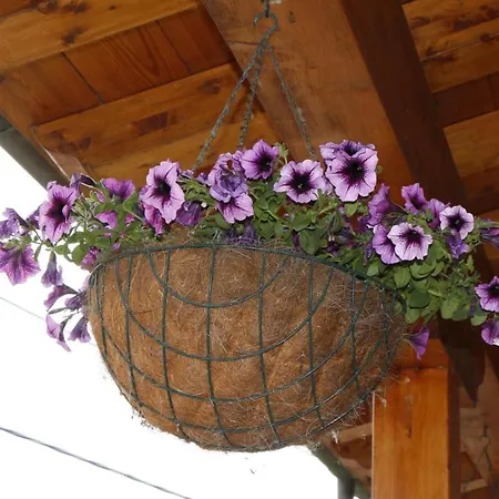 La Casa De Consuelo 3 Viérnoles