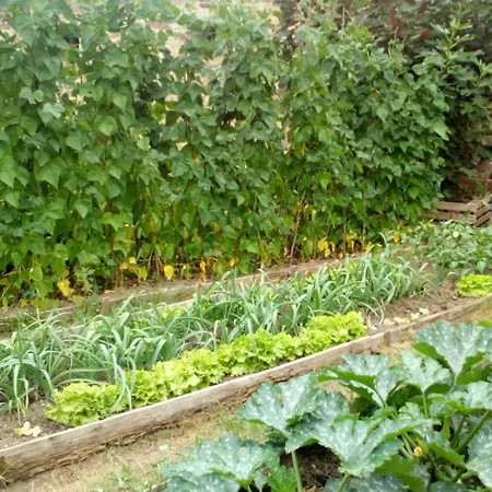 カントリーハウス La Casa De Consuelo 3 Viérnoles