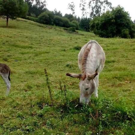 Hétvégi ház La Casa De Consuelo 3 *