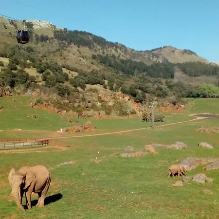 La Casa De Consuelo 3 Viérnoles