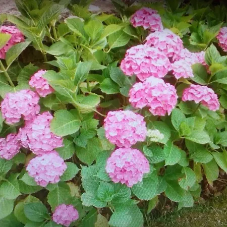 La Casa De Consuelo 3 Hétvégi ház *