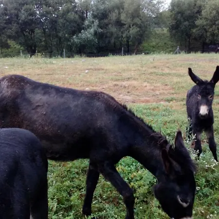 Hétvégi ház La Casa De Consuelo 3 Viérnoles