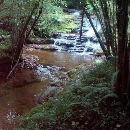 La Casa De Consuelo 3 カントリーハウス