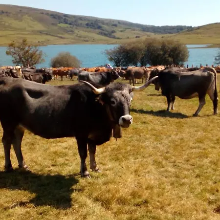 Hétvégi ház La Casa De Consuelo 3 Viérnoles