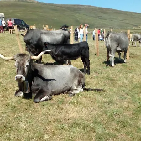 La Casa De Consuelo 3 Viérnoles