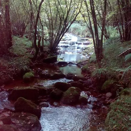 La Casa De Consuelo 3