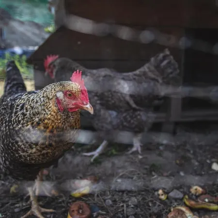 La Casa De Consuelo 3 カントリーハウス Viérnoles