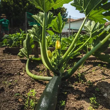 La Casa De Consuelo 3 Hétvégi ház