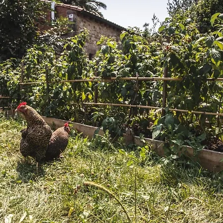 La Casa De Consuelo 3 Viérnoles