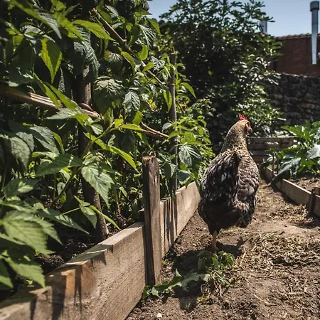 La Casa De Consuelo 3 Hétvégi ház Viérnoles