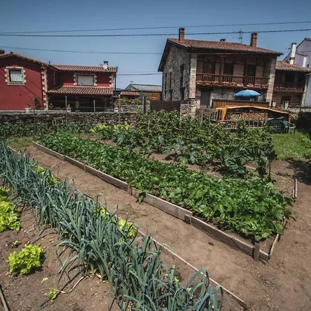 La Casa De Consuelo 3 * Viérnoles