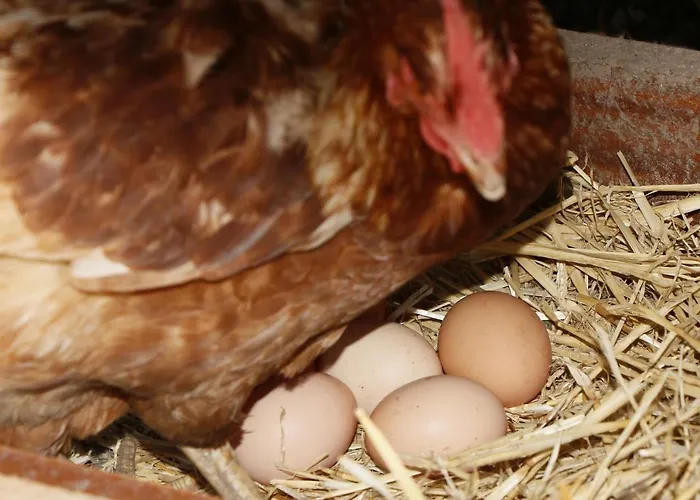 La Casa De Consuelo 3 Country house