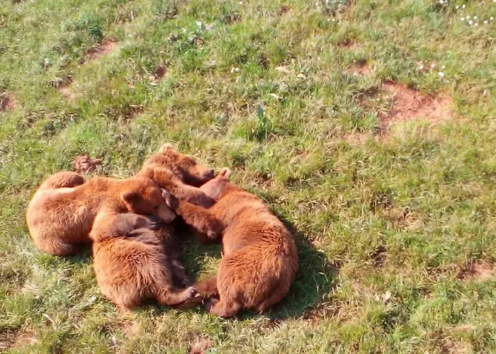 La Casa De Consuelo 3