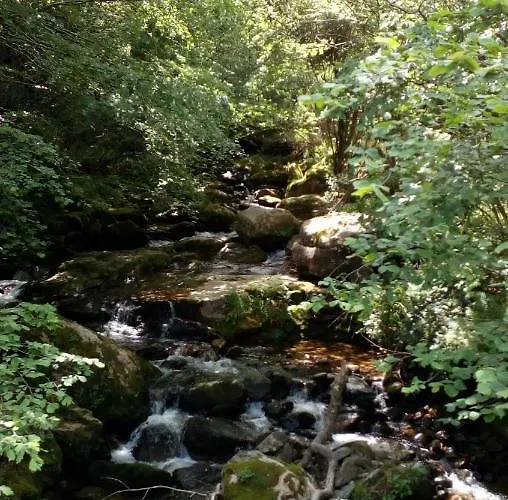 La Casa De Consuelo 3 Viernoles