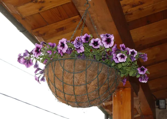 La Casa De Consuelo 3 Viernoles