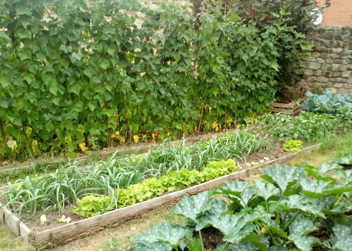 Country house La Casa De Consuelo 3 Viernoles