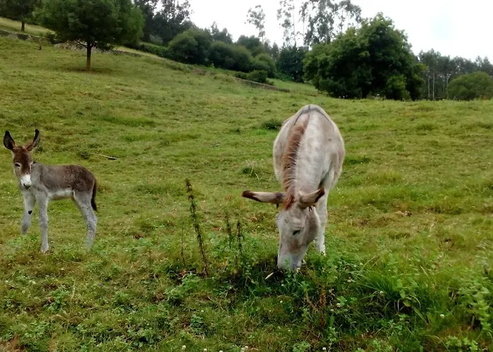 Country house La Casa De Consuelo 3 *
