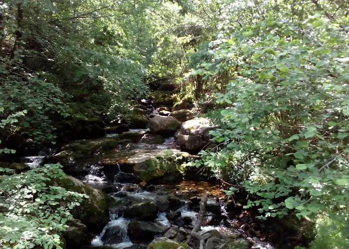 La Casa De Consuelo 3 * Viernoles