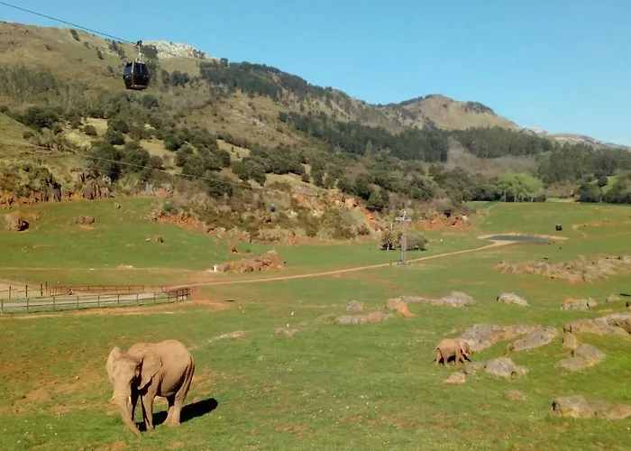 La Casa De Consuelo 3 Viernoles