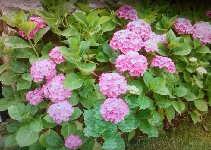 La Casa De Consuelo 3 Country house *