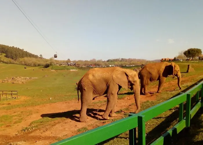 La Casa De Consuelo 3 Country house *