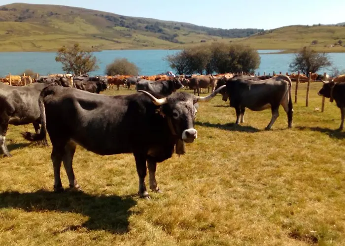 Country house La Casa De Consuelo 3 Viernoles