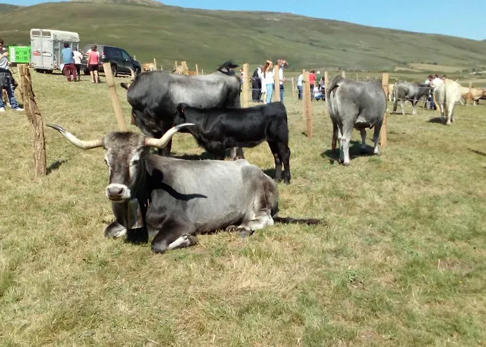 La Casa De Consuelo 3 Viernoles
