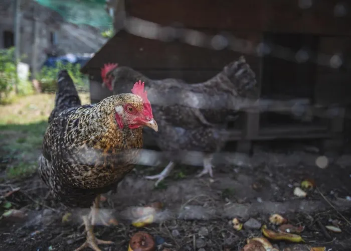 La Casa De Consuelo 3 Country house Viernoles