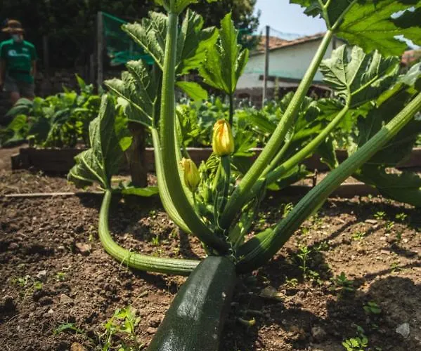 La Casa De Consuelo 3 Gospodarstwo wiejskie