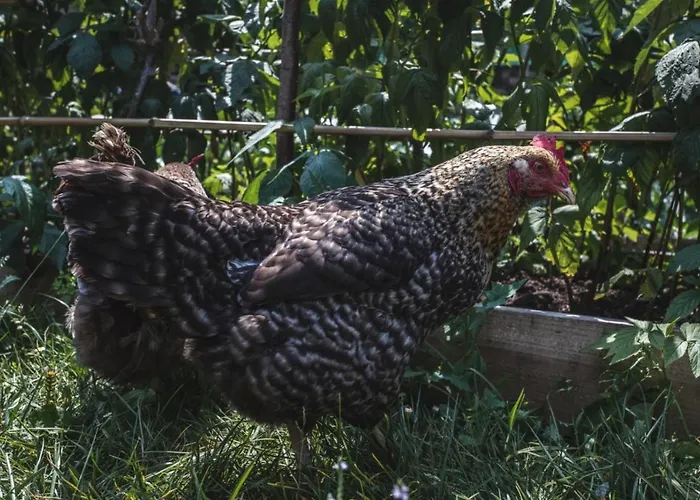 La Casa De Consuelo 3 Country house *