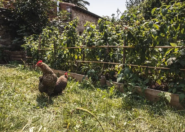 La Casa De Consuelo 3 Viernoles