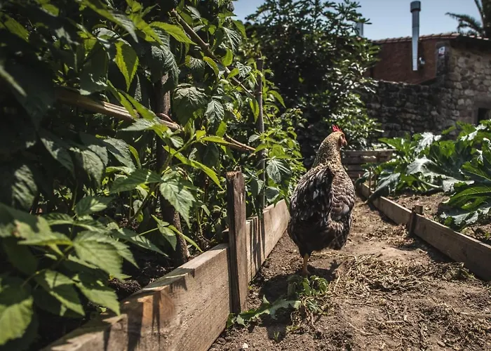 La Casa De Consuelo 3 Gospodarstwo wiejskie Viérnoles