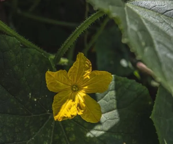 La Casa De Consuelo 3 *