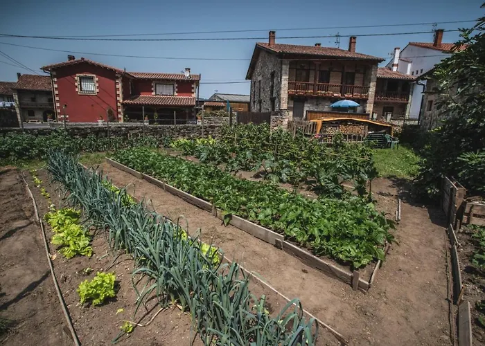 La Casa De Consuelo 3 * Viernoles